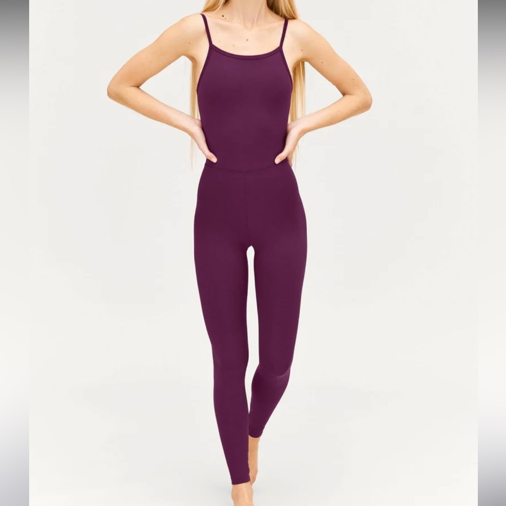 LIKE NEW PLUM UNITARD